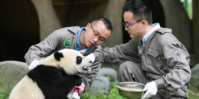 Forrás: XINHUA via AFP/Xinhua News Agency/Xue Yubin