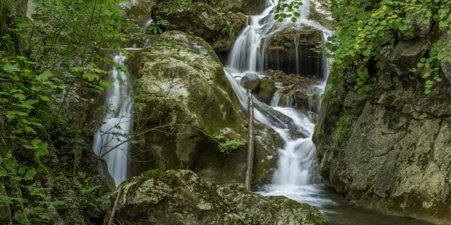 Forrás: Shutterstock