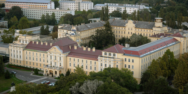 Forrás: MTI/H. Szabó Sándor