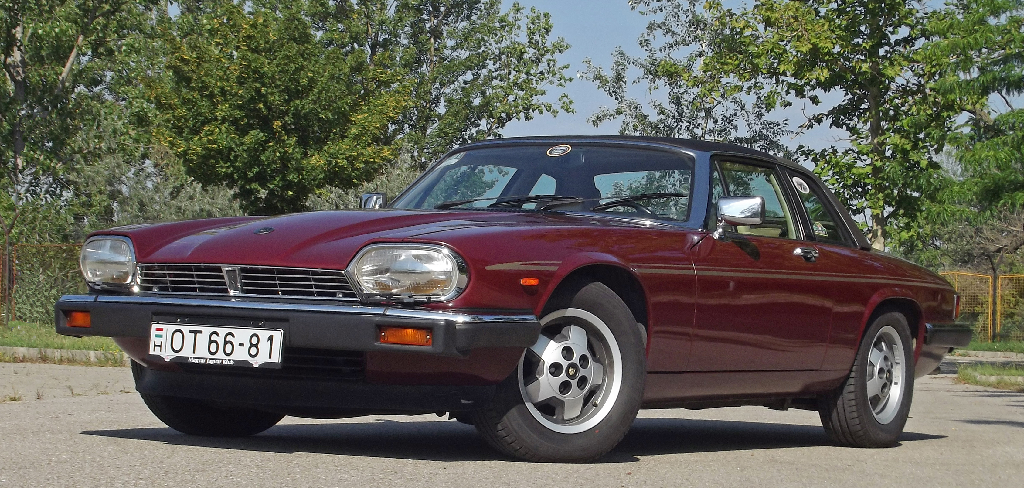 Jaguar ez b
