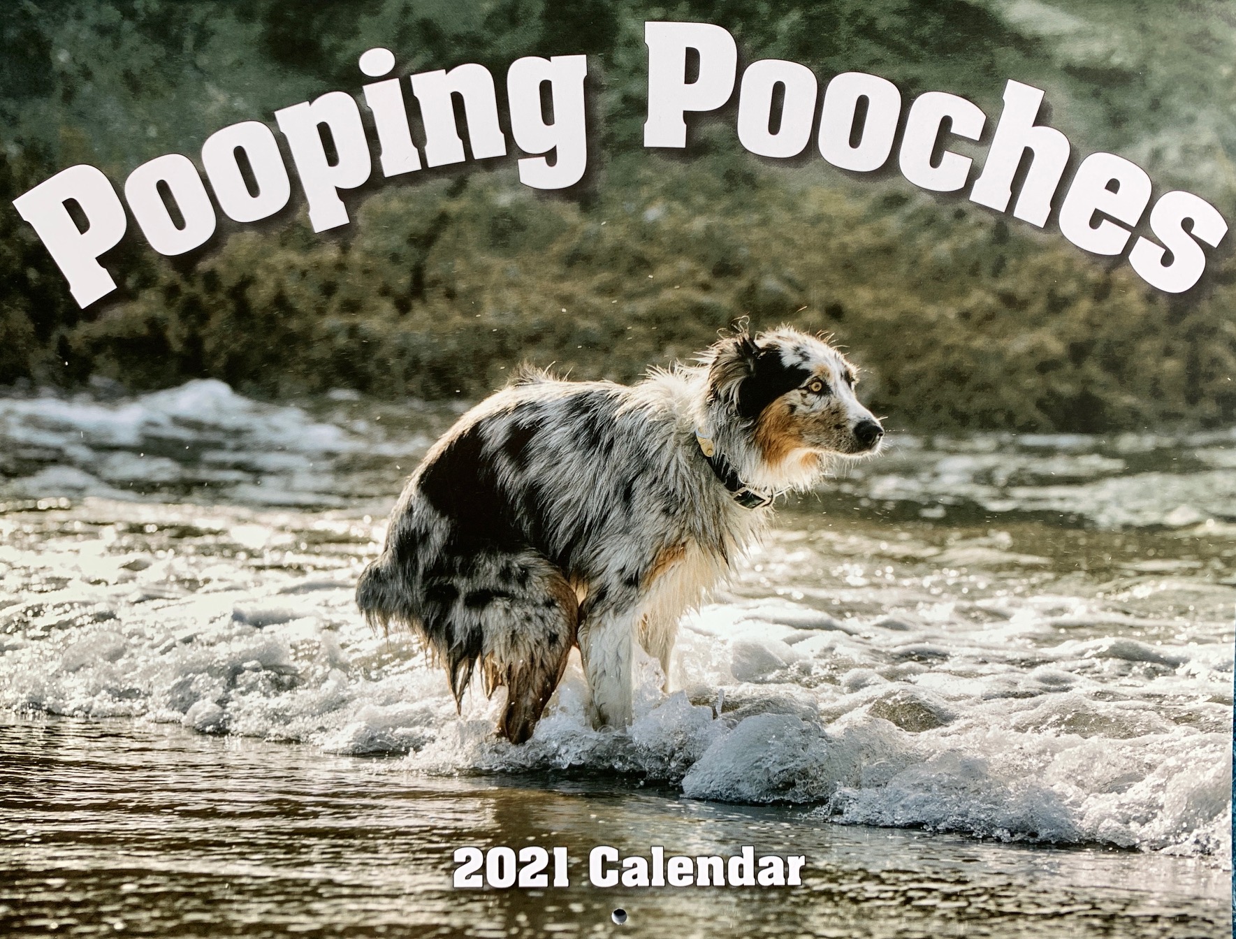 Какающие собаки 2024. Календарь какающие собаки. Pooping pooches 2021. Испражняющаяся собака календарь. Календарь с собачьими какашками