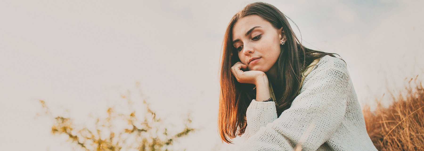 Forr�s: Shutterstock