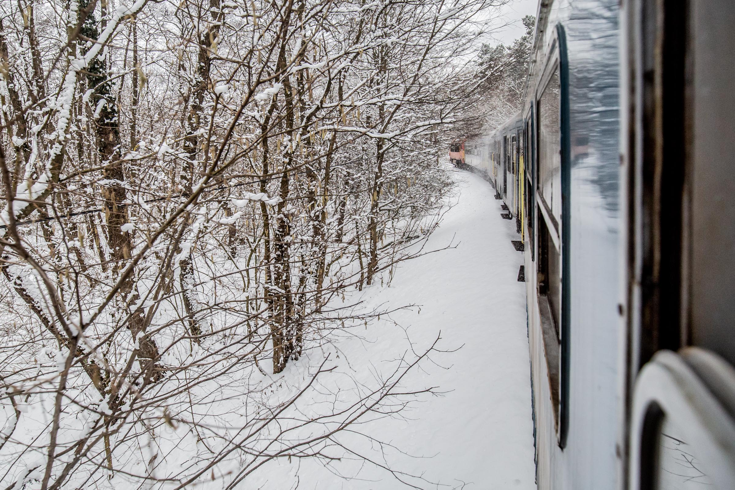 Fotó: Csudai Sándor - Origo