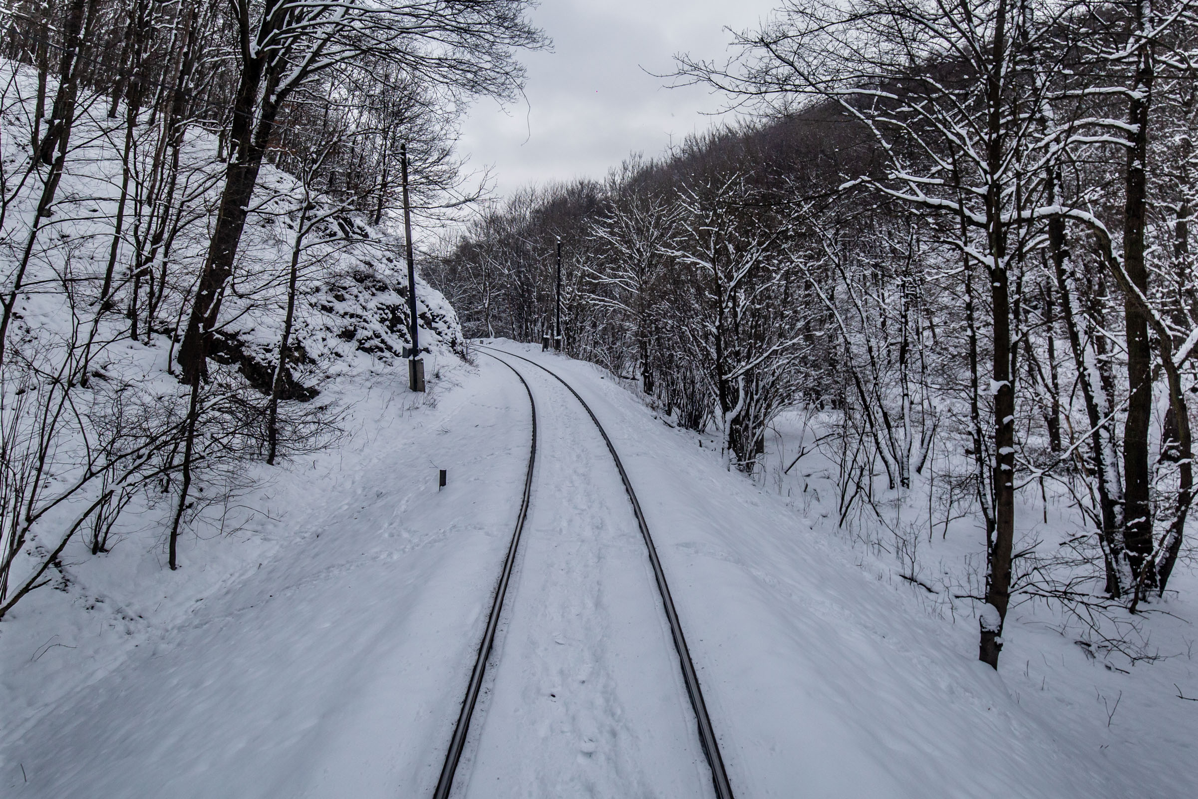 Fotó: Csudai Sándor - Origo