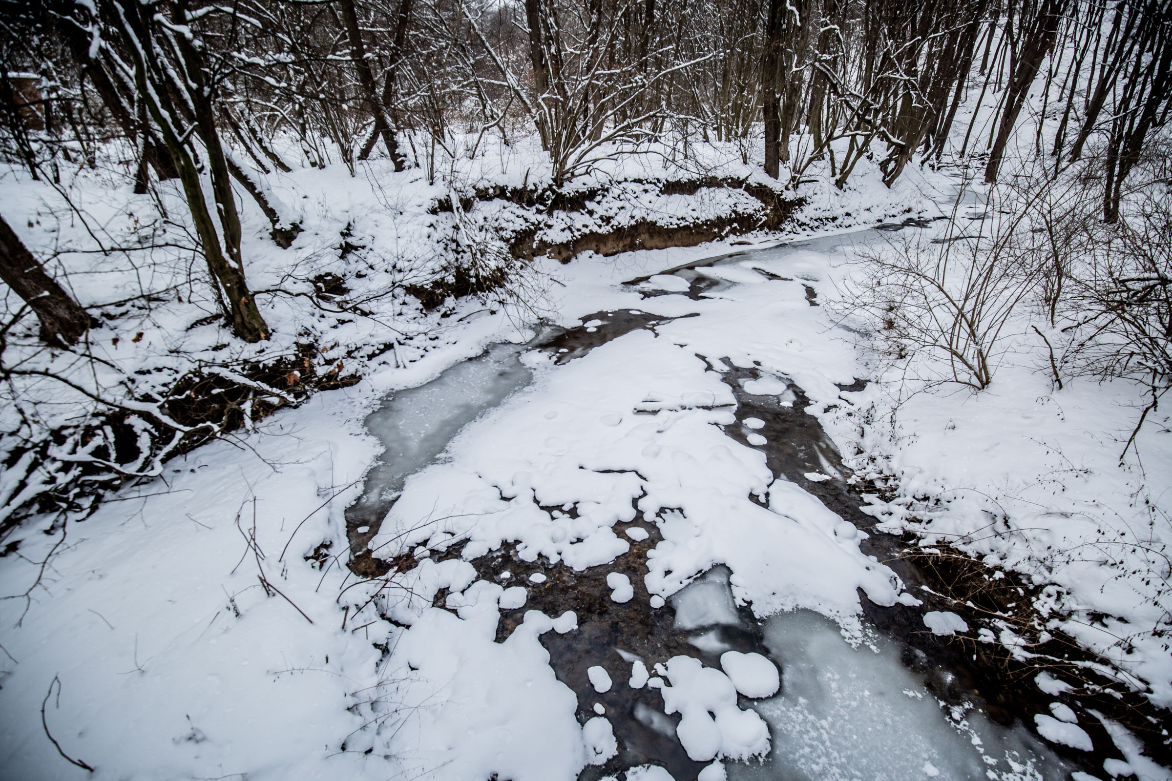 Fotó: Csudai Sándor - Origo