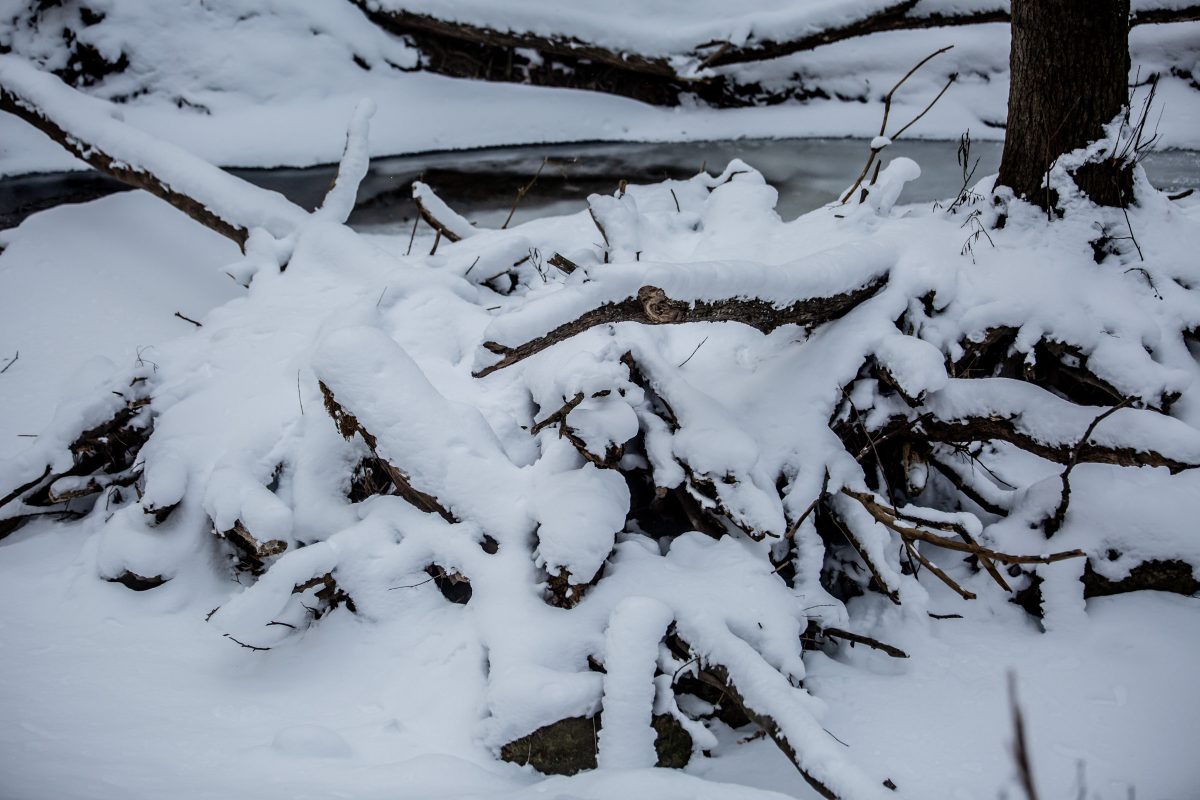 Fotó: Csudai Sándor - Origo