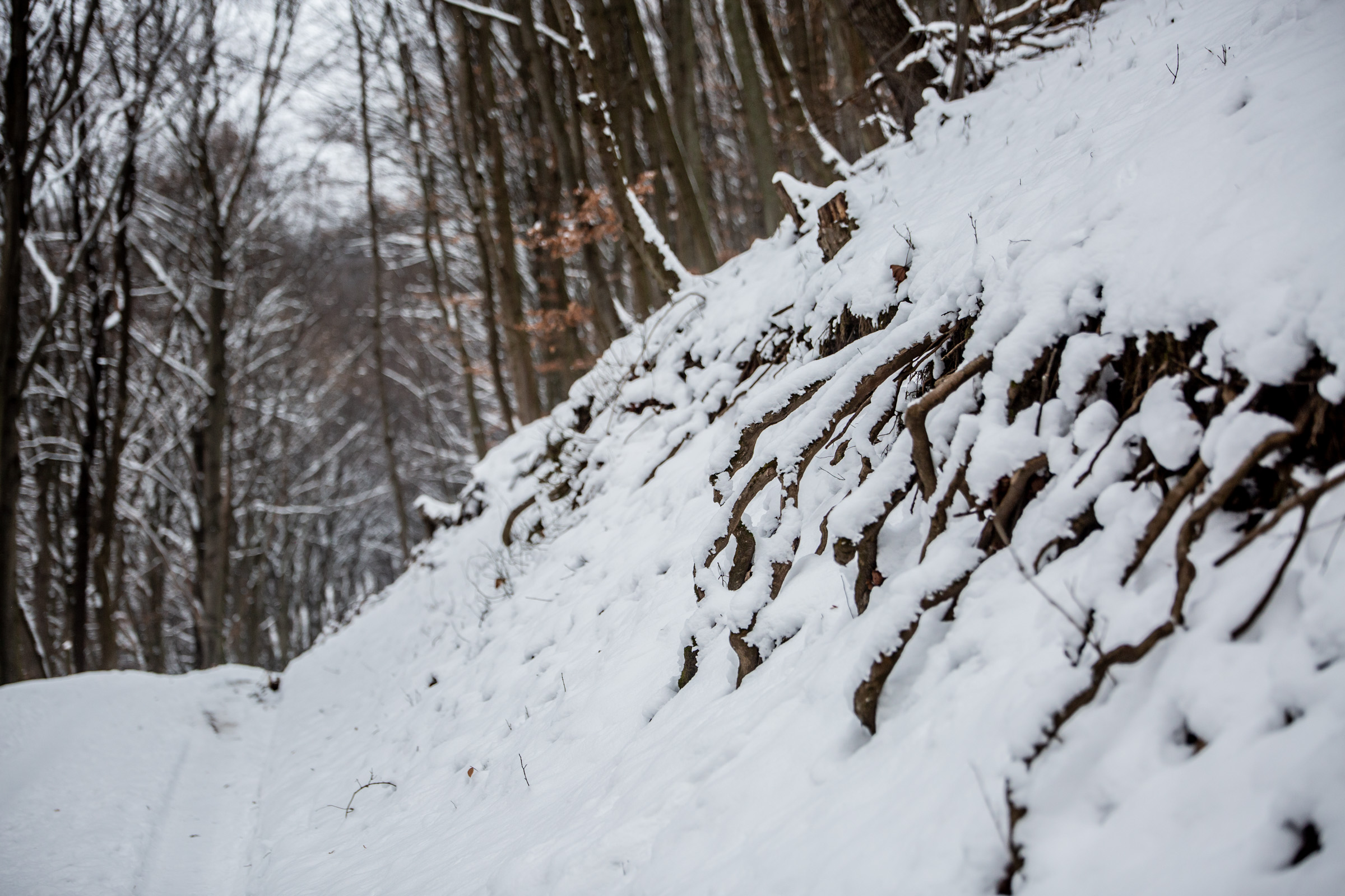 Fotó: Csudai Sándor - Origo