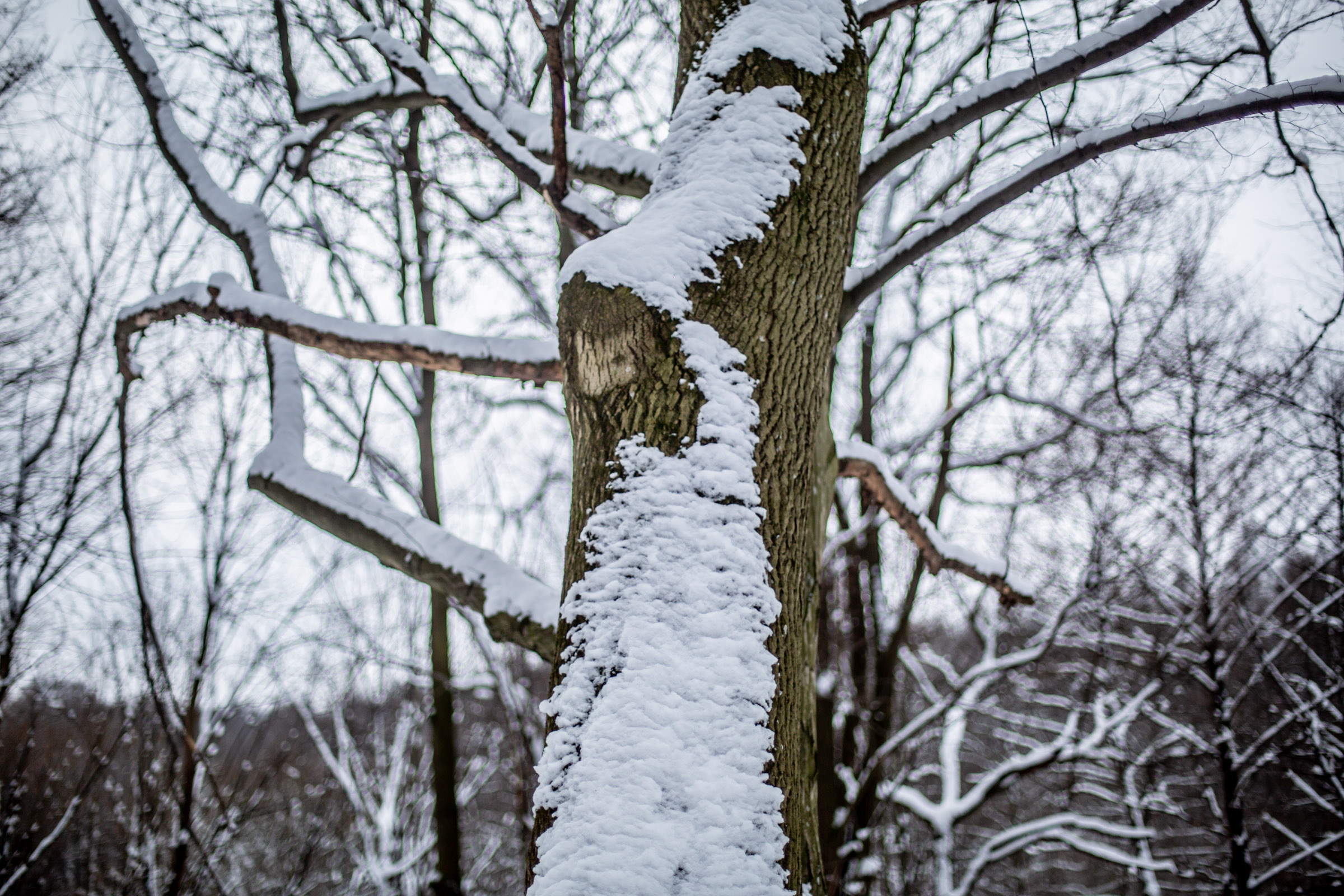 Fotó: Csudai Sándor - Origo