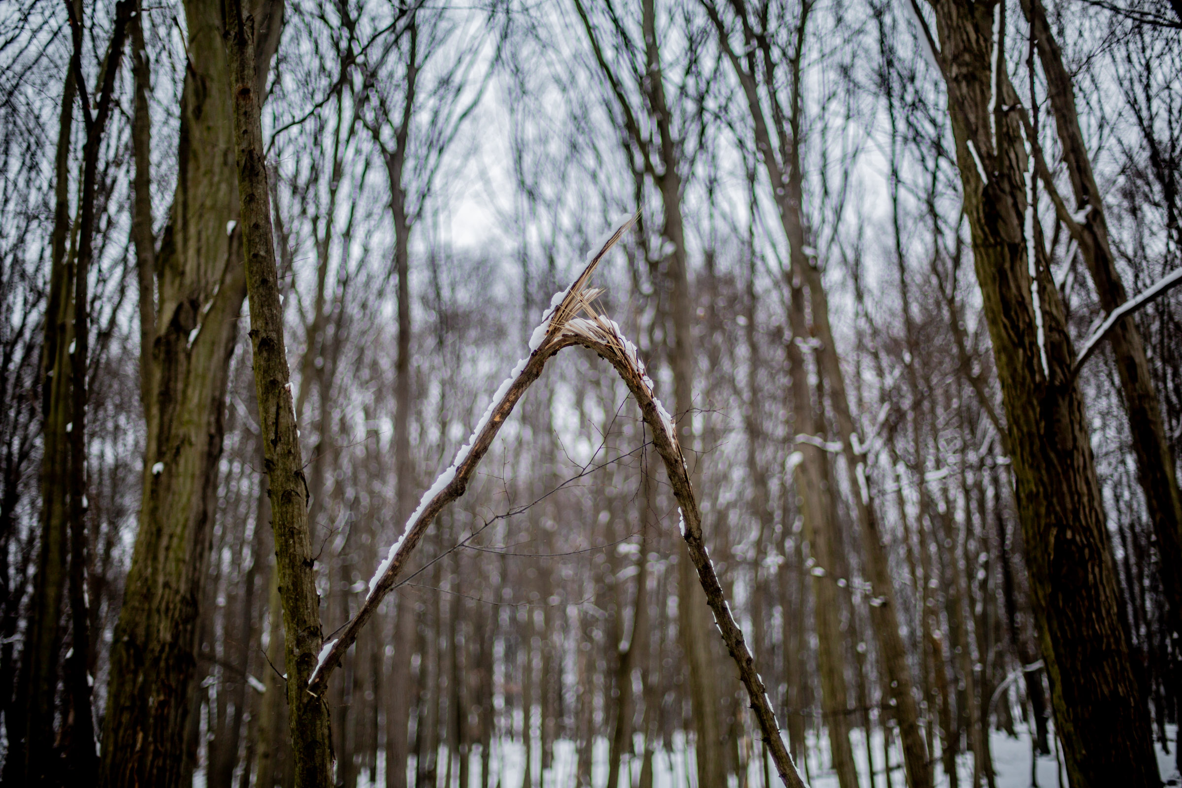 Fotó: Csudai Sándor - Origo