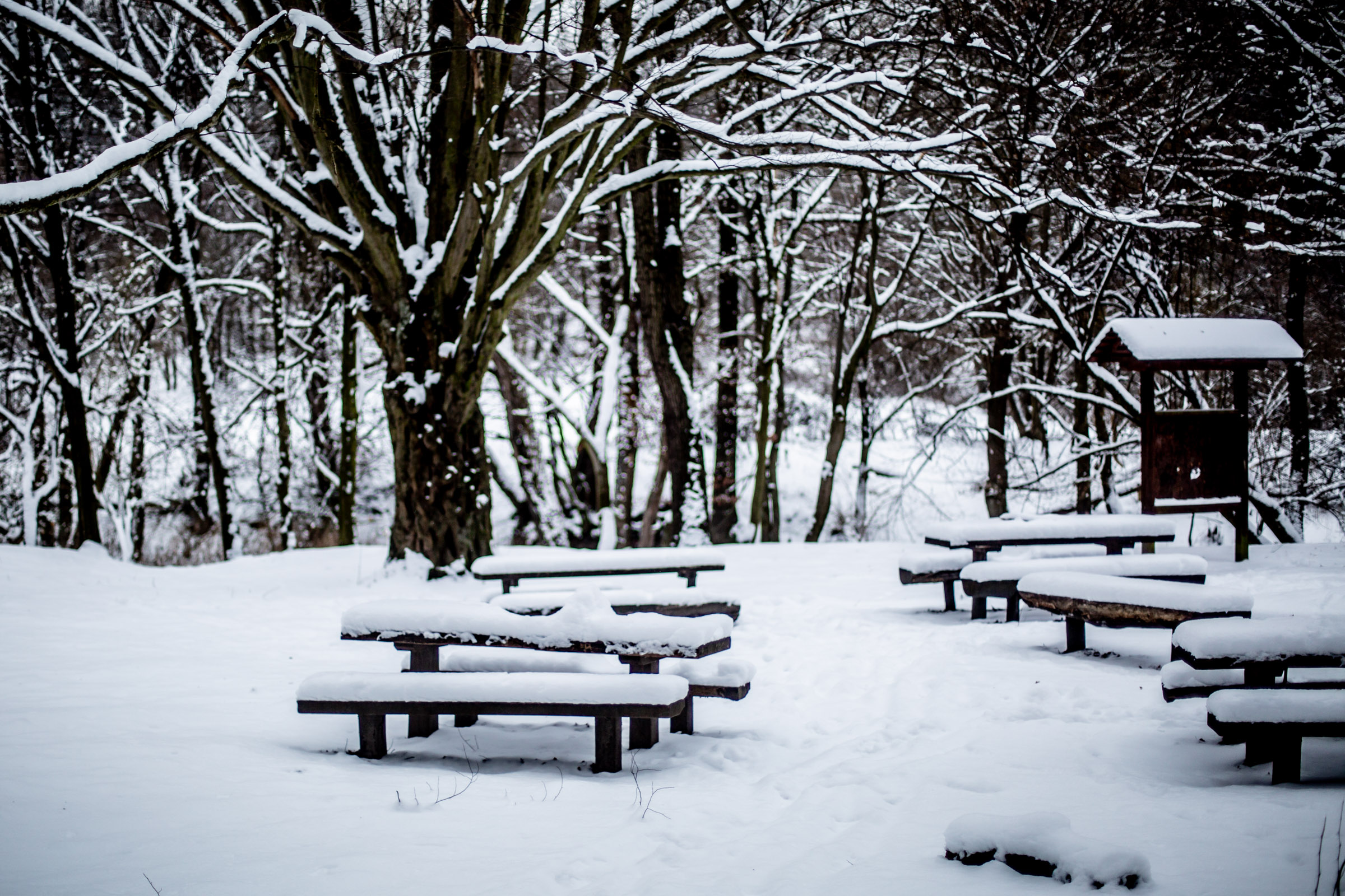 Fotó: Csudai Sándor - Origo