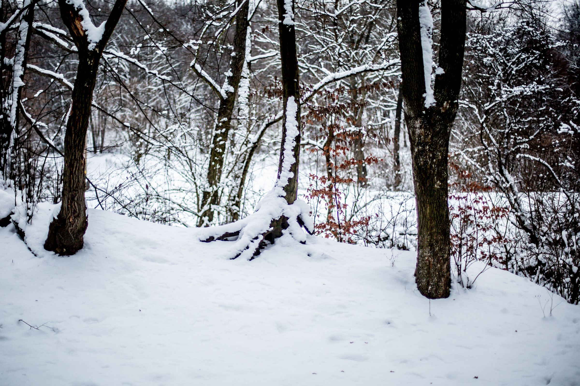 Fotó: Csudai Sándor - Origo
