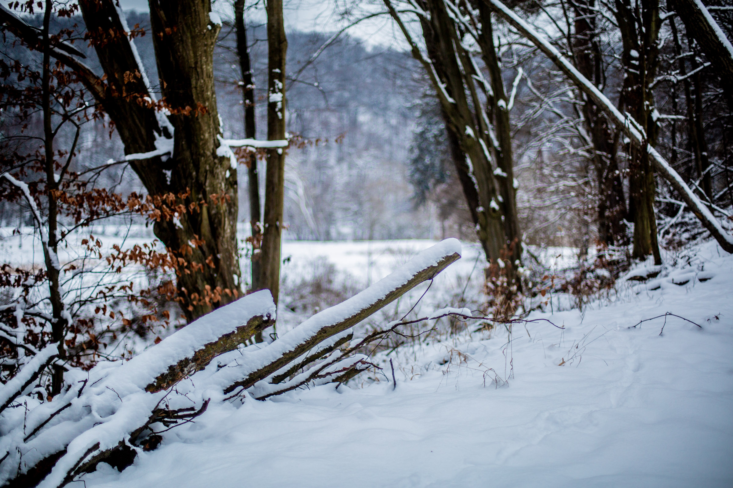 Fotó: Csudai Sándor - Origo
