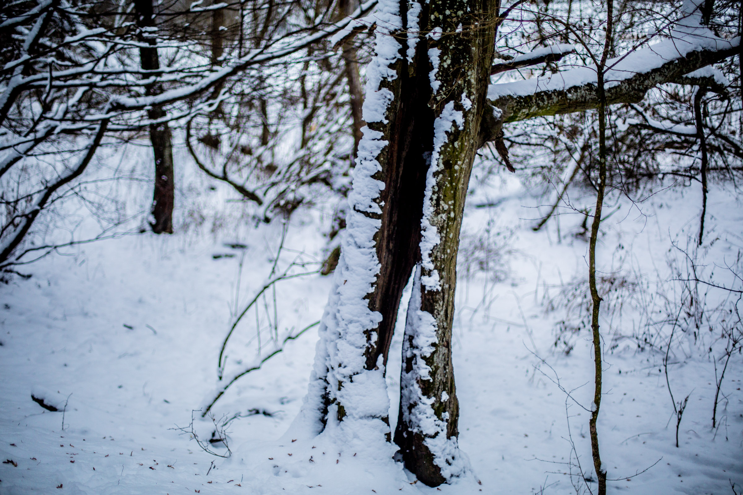 Fotó: Csudai Sándor - Origo