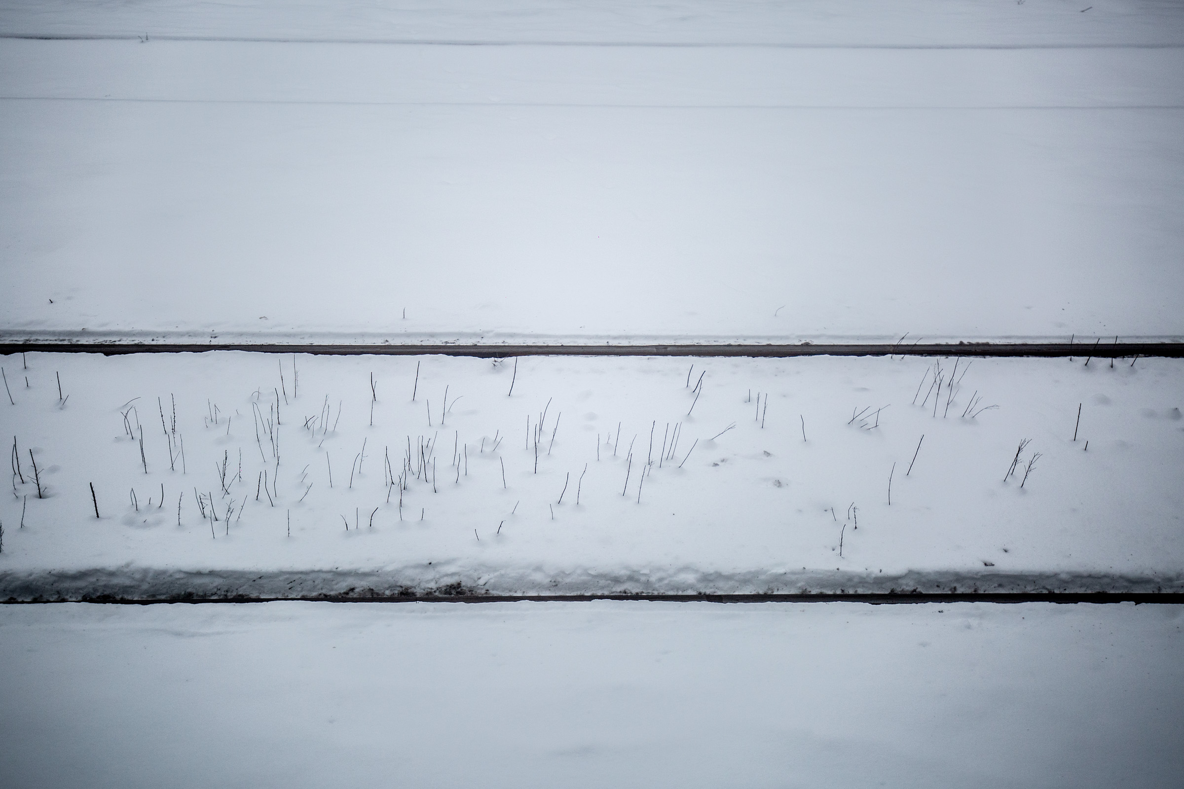 Fotó: Csudai Sándor - Origo