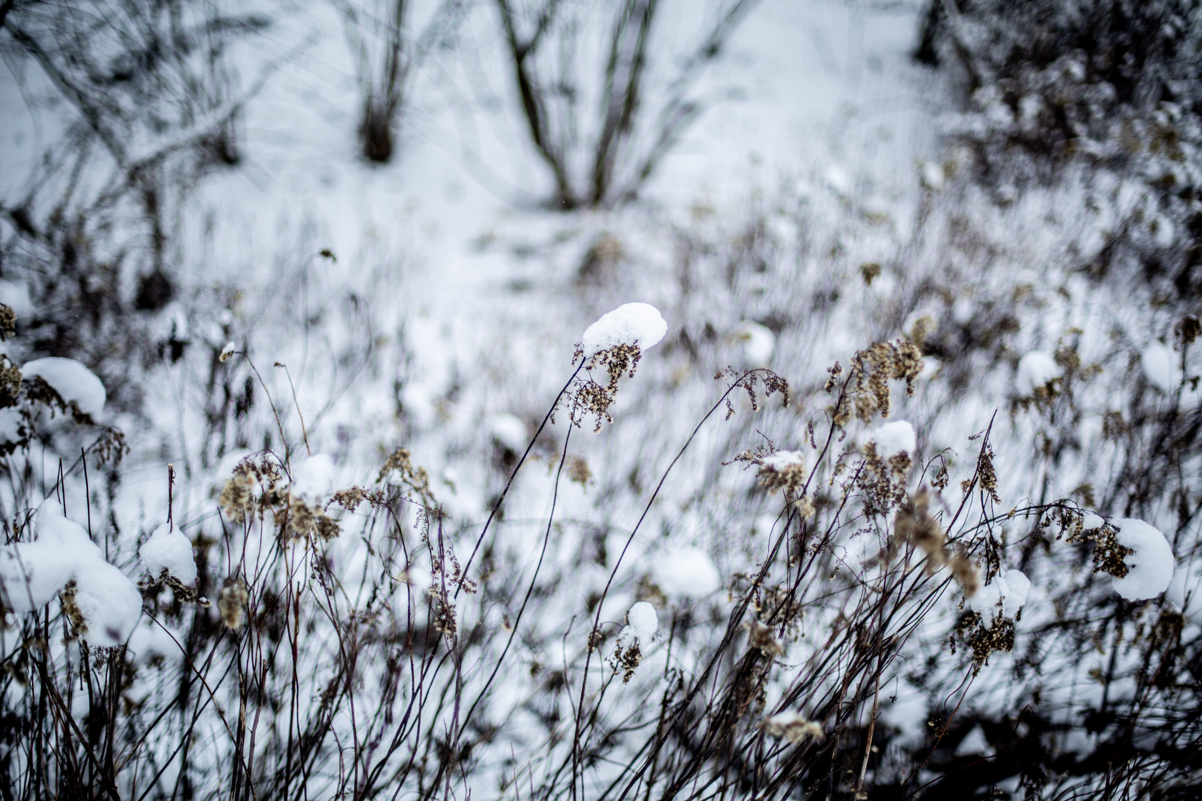 Fotó: Csudai Sándor - Origo