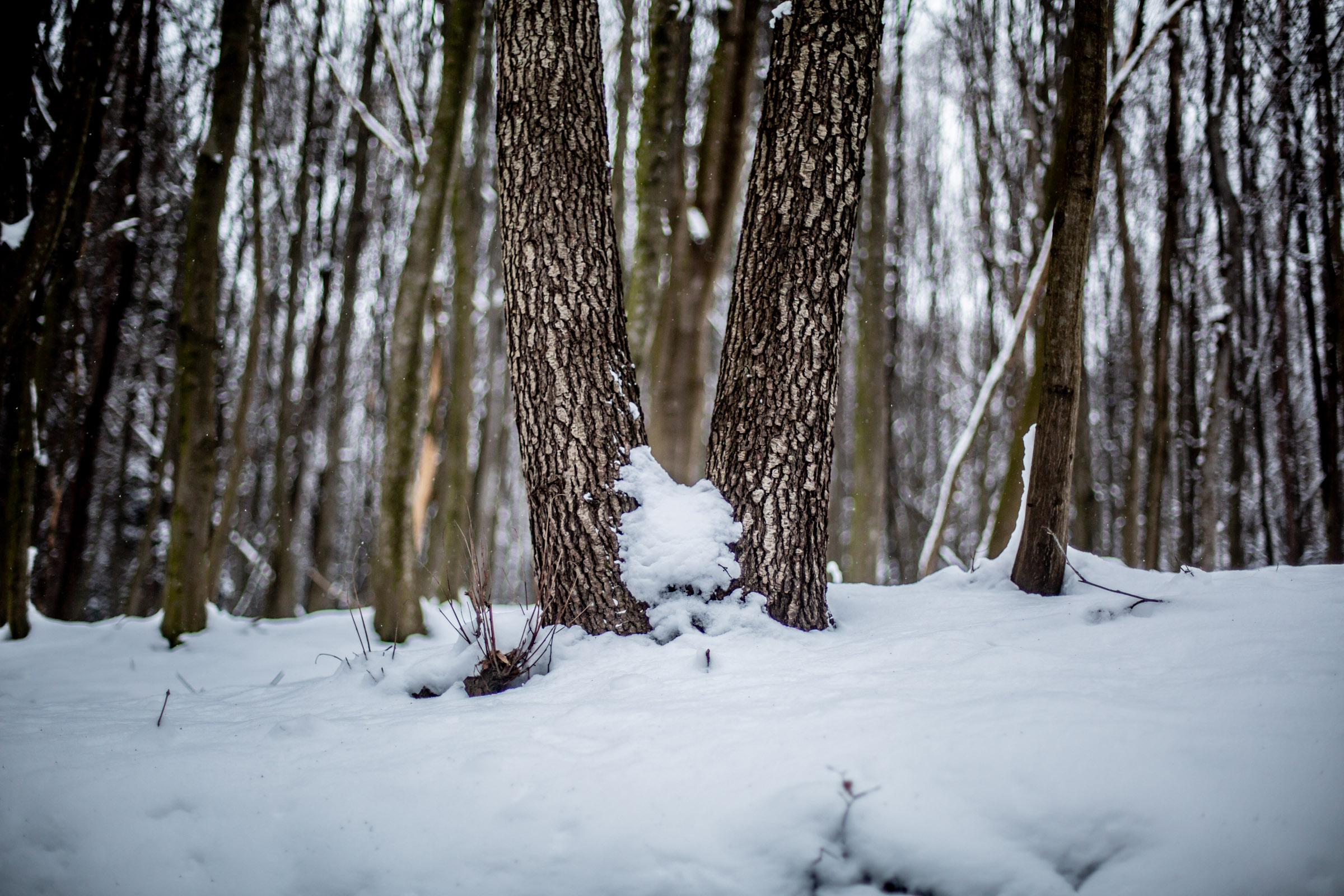 Fotó: Csudai Sándor - Origo