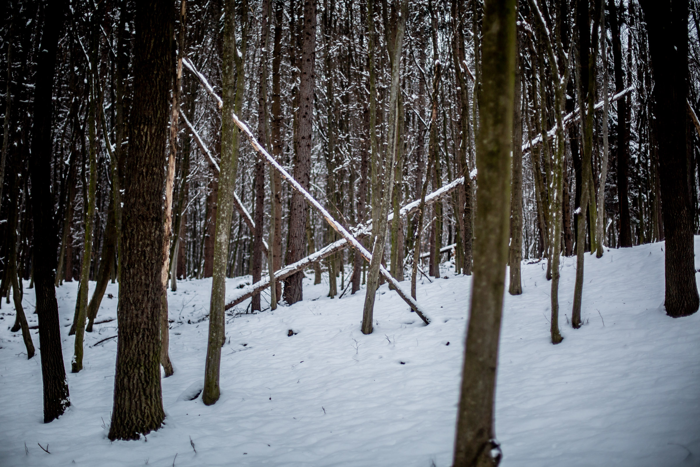 Fotó: Csudai Sándor - Origo