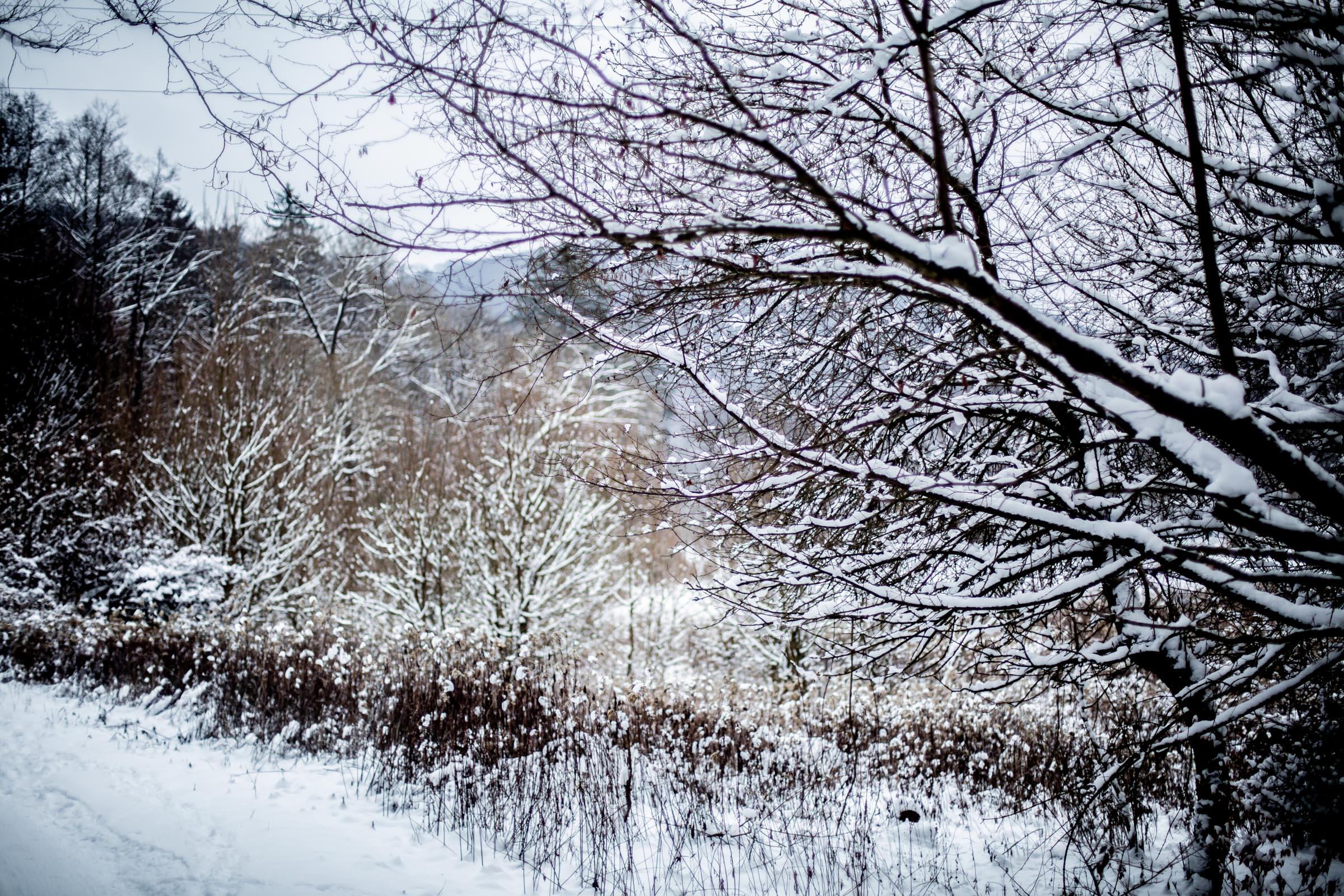 Fotó: Csudai Sándor - Origo