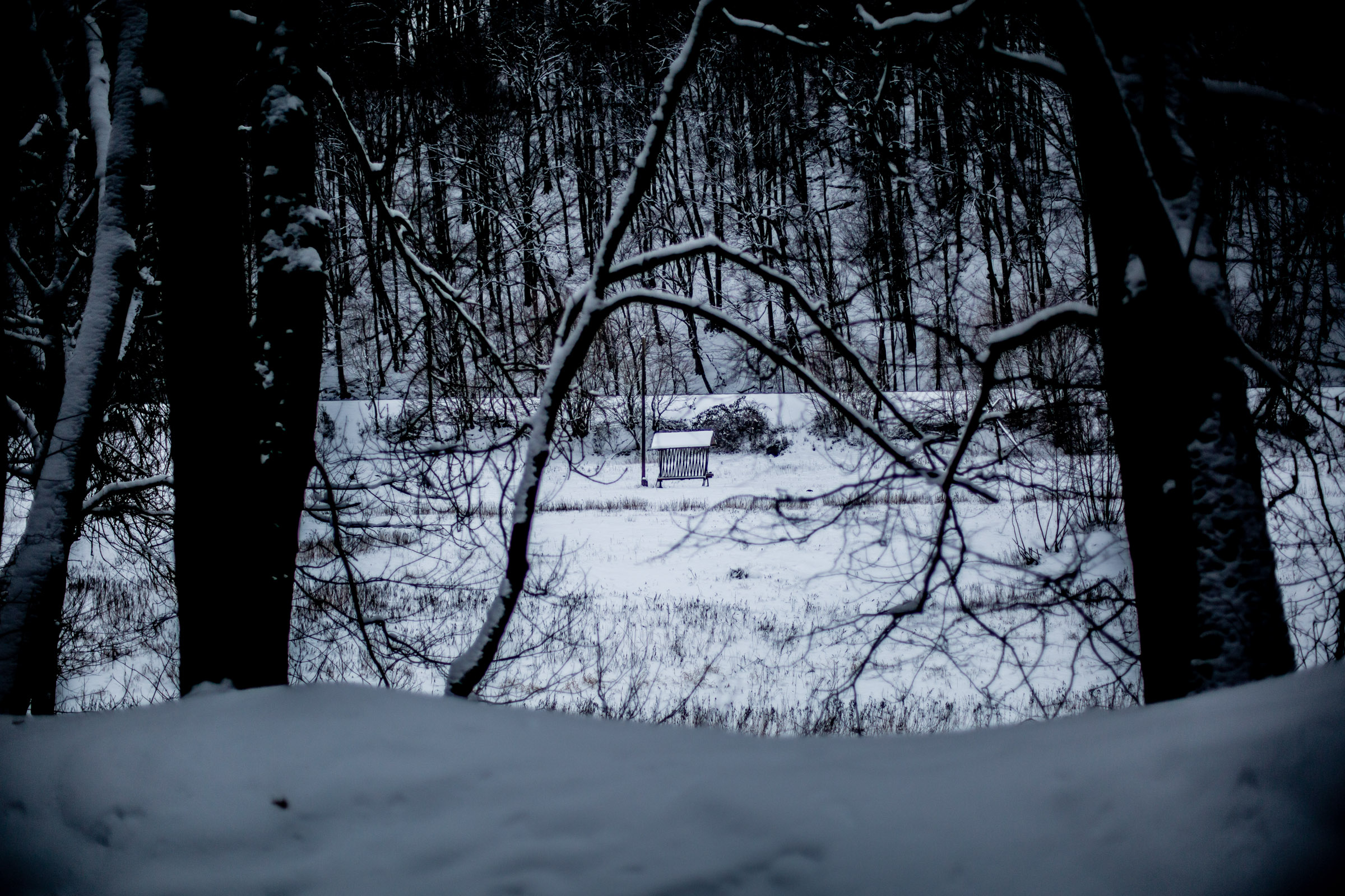 Fotó: Csudai Sándor - Origo