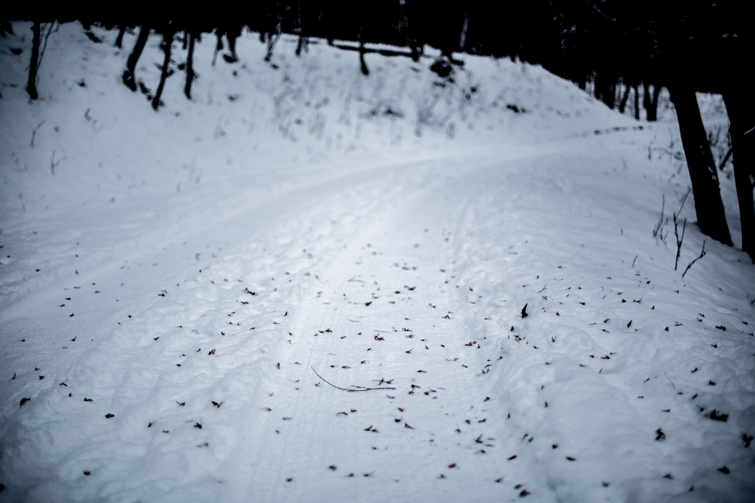 Fotó: Csudai Sándor - Origo