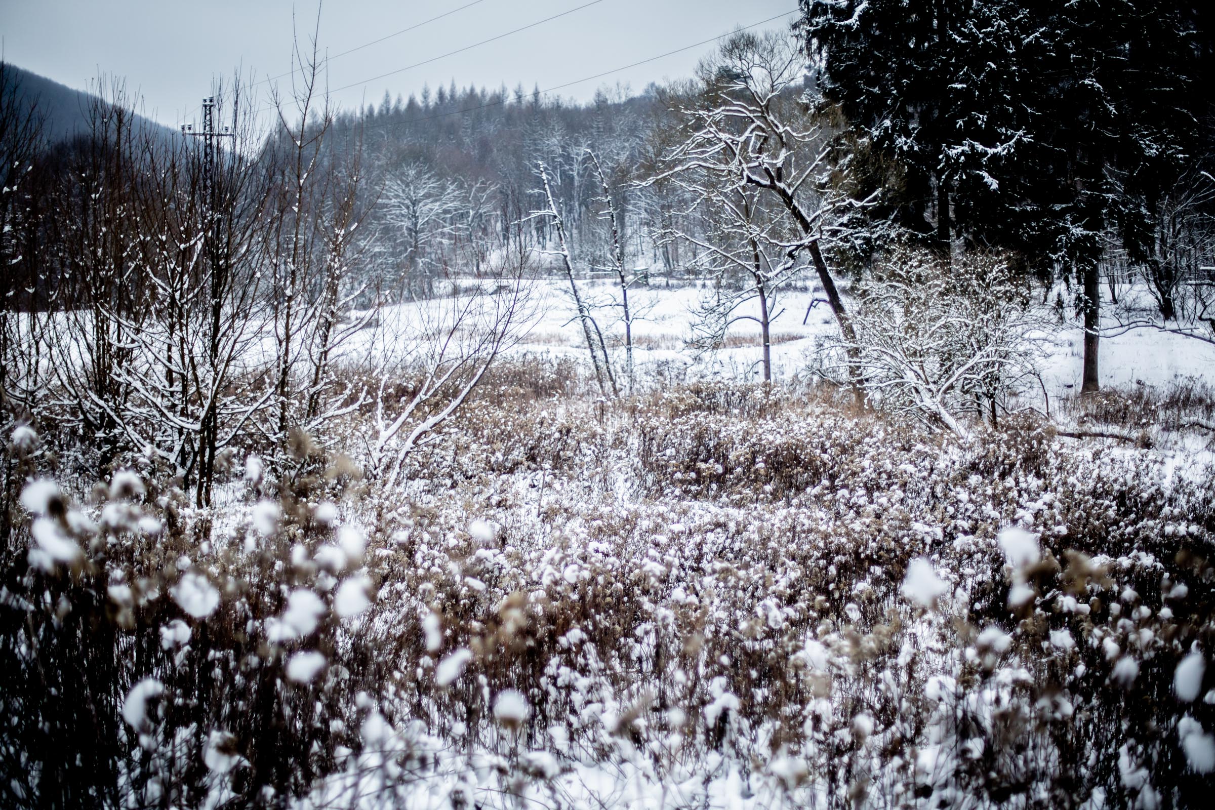 Fotó: Csudai Sándor - Origo