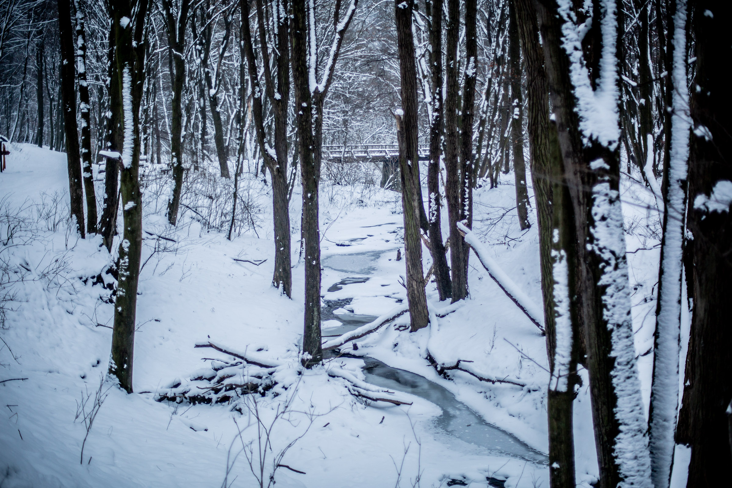 Fotó: Csudai Sándor - Origo