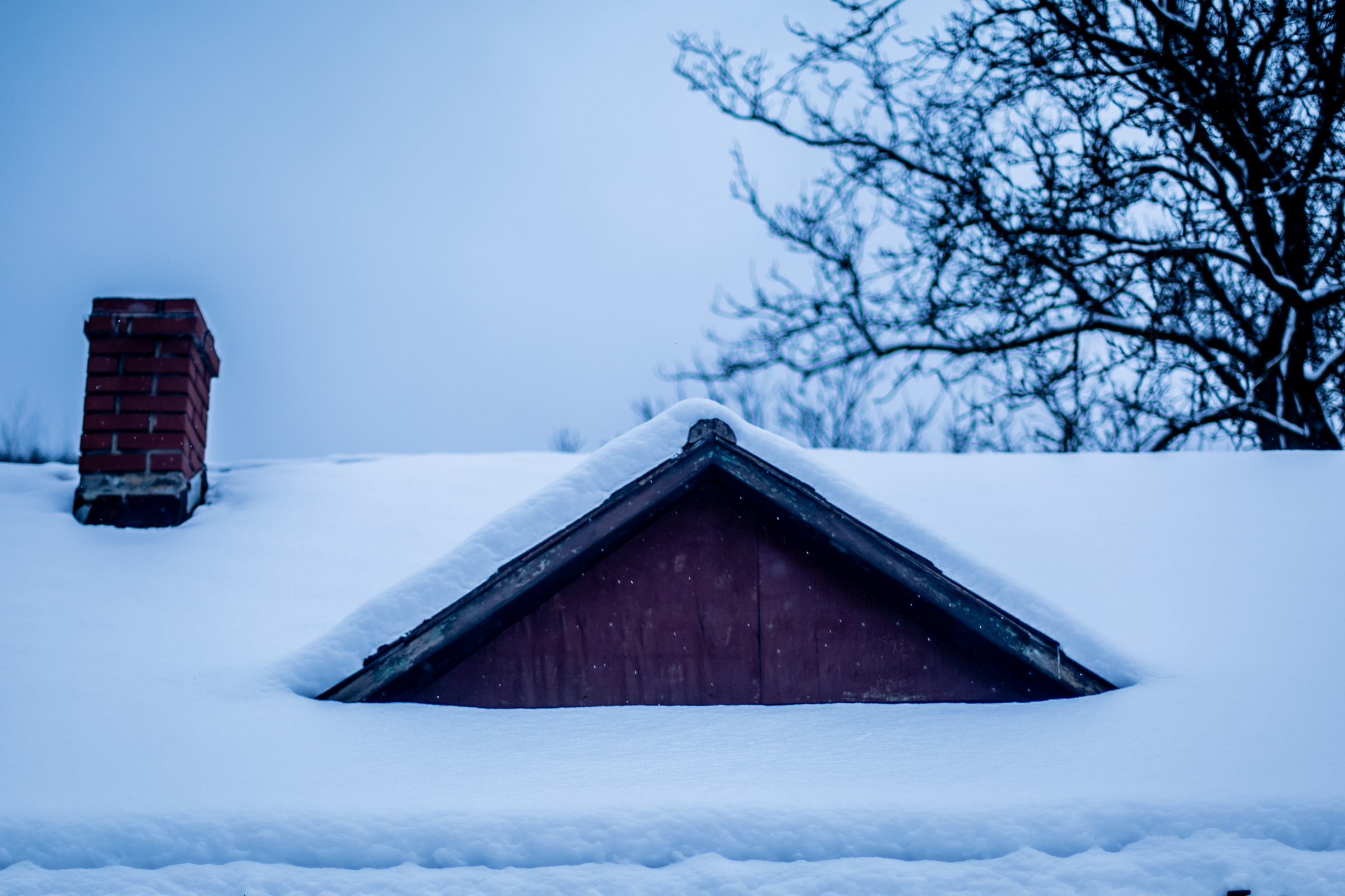 Fotó: Csudai Sándor - Origo