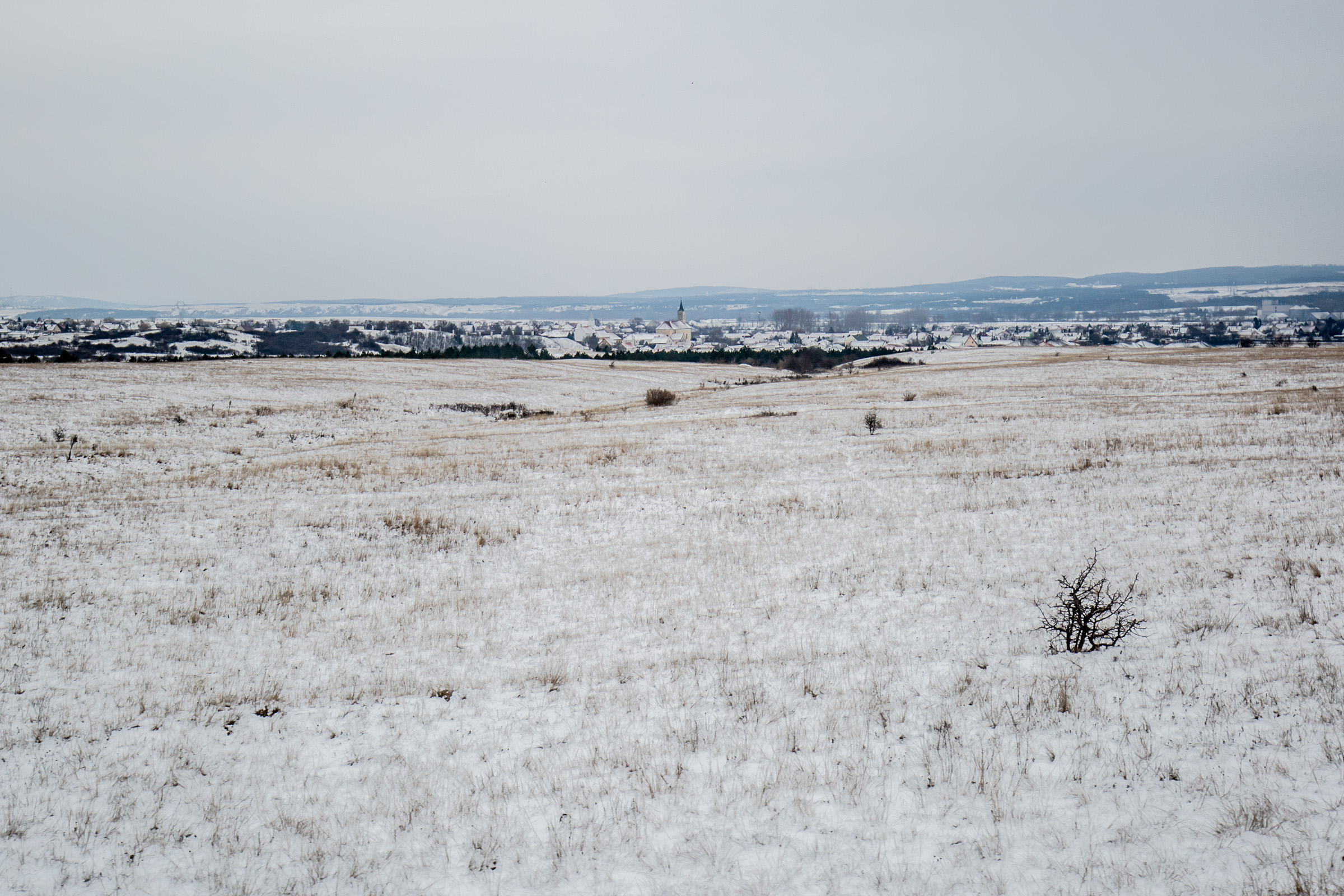 Fotó: Csudai Sándor - Origo