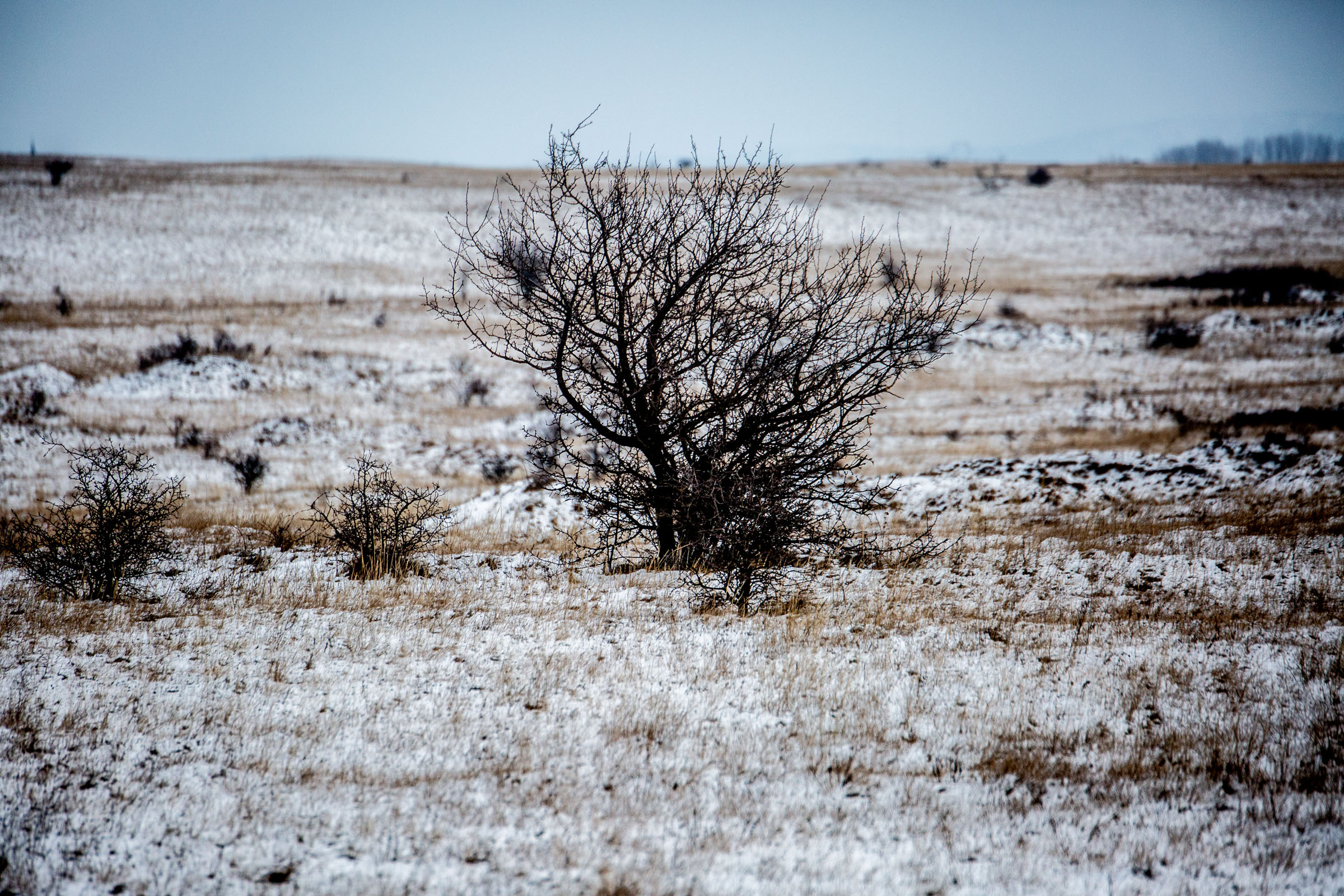 Fotó: Csudai Sándor - Origo