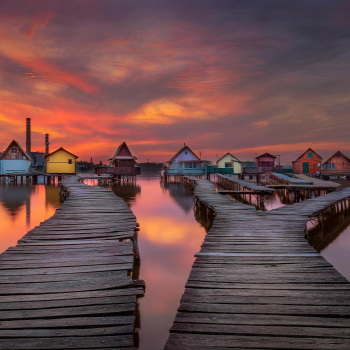 Forrás: Shutterstock 