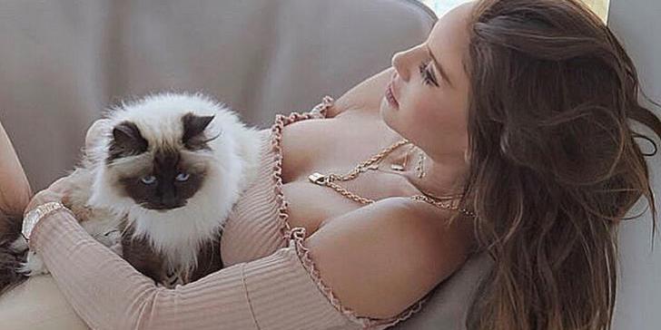 Vajna Tímea macskái is elférnek a 650 négyzetméteres Beverly Hills-i villában - Vimarsana News
